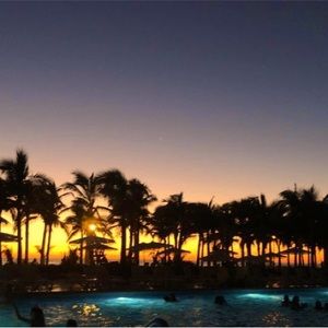 Meet your Posher, Roxanne